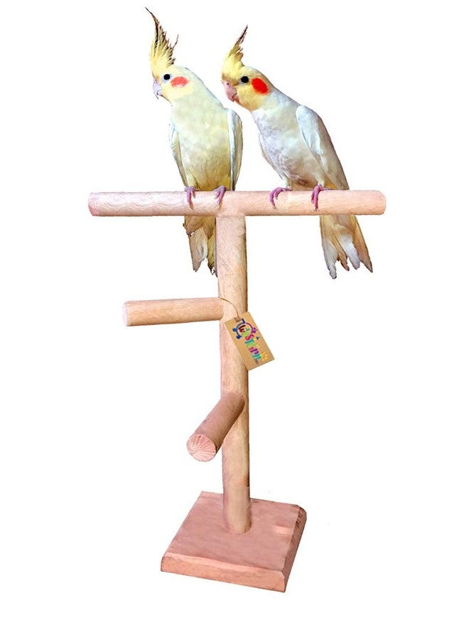 ويستيرن إرا مجثم تدريب وتمرين للطيور من الخشب الطبيعي، مقاس 33 سم (13 بوصة)، بتصميم غربي، مزود بدرجتين، مناسب للعب والتربية. - Image 1